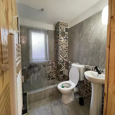 Art Govora Apartament